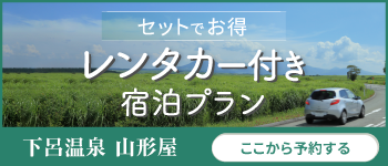 レンタカー付き 宿泊プラン