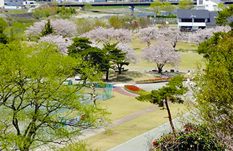 飛騨川公園