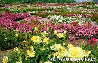 花フェスタ記念公園