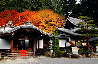 醫王霊山 温泉寺